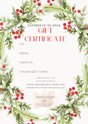 Gift Certificate - Image 2