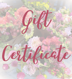 Gift Certificate